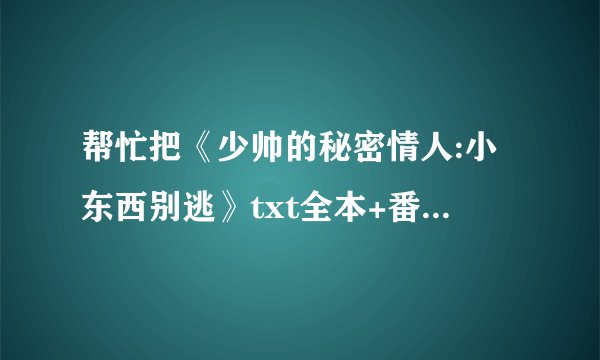 帮忙把《少帅的秘密情人:小东西别逃》txt全本+番外发给我，万分感谢