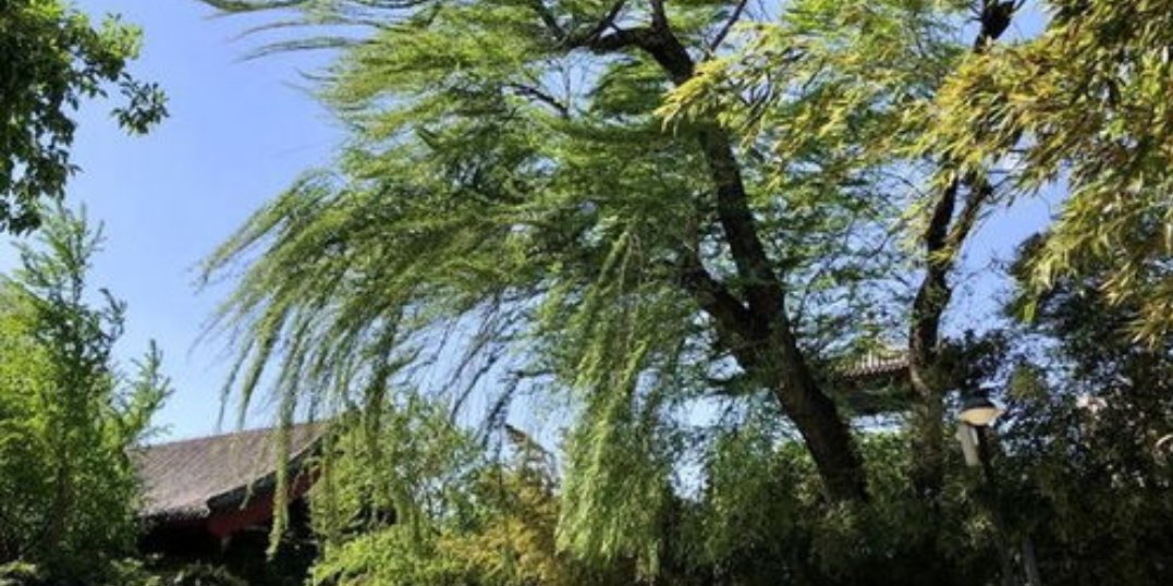 北京大风将连刮三天，这三天当地市民该如何做好防护工作？