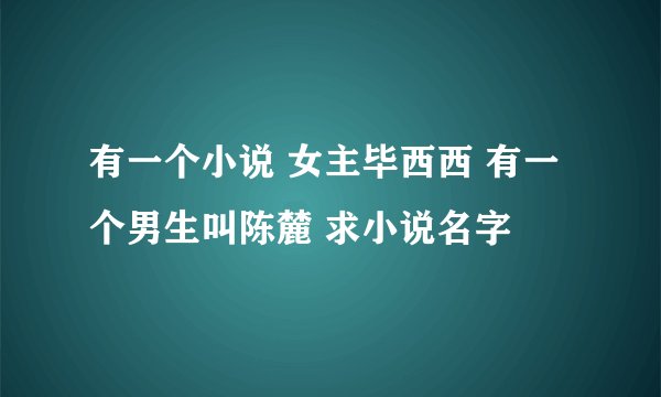有一个小说 女主毕西西 有一个男生叫陈麓 求小说名字