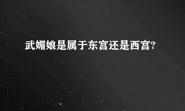 武媚娘是属于东宫还是西宫?