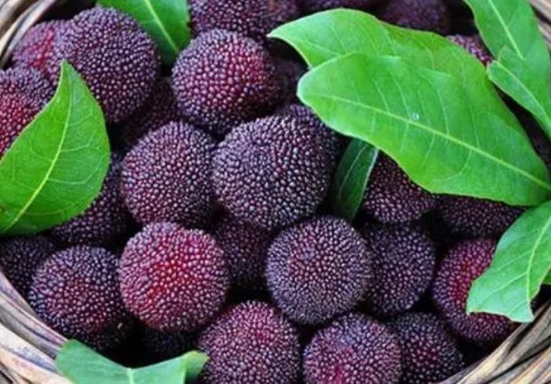 脸上斑如何去除