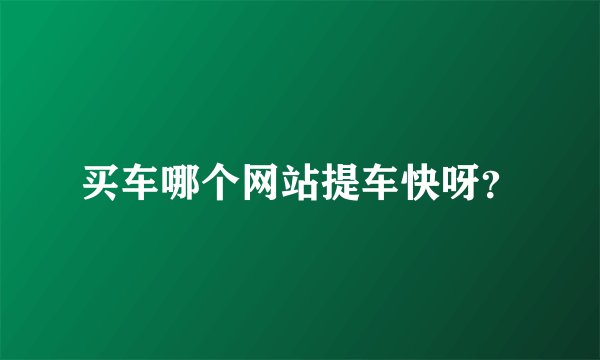 买车哪个网站提车快呀？
