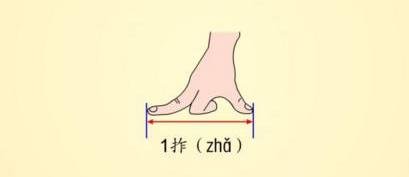 拃是什么意思 多长？