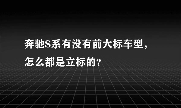 奔驰S系有没有前大标车型，怎么都是立标的？