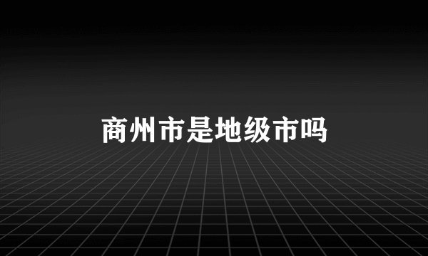 商州市是地级市吗