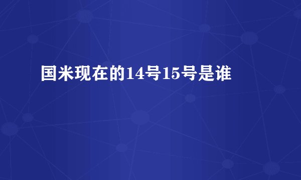 国米现在的14号15号是谁