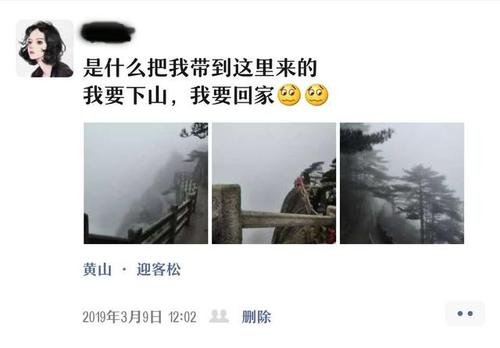 黄山爬到一半想回家进退两难，对此你有何看法？