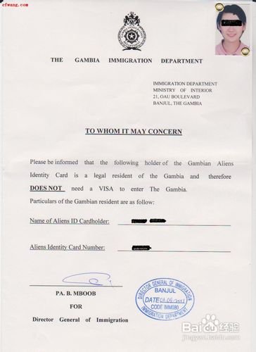 巴西签证的签证类型