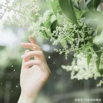 如何正确做人 ？