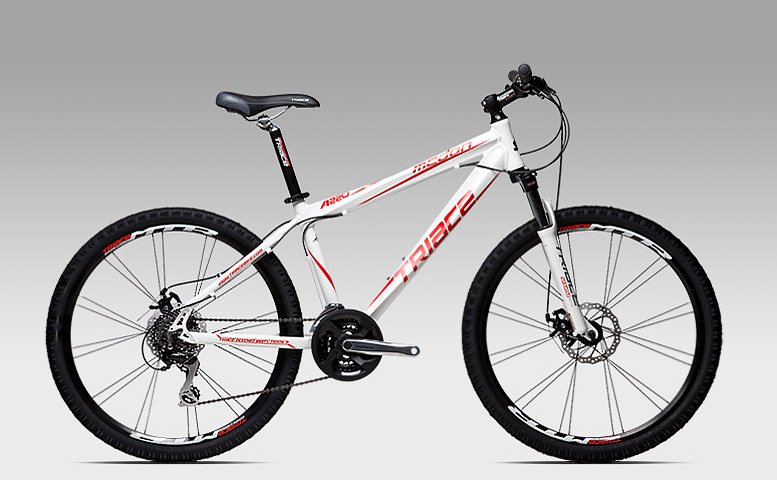 我想购买一架车捷安特ATX 770 TRIACE(骓驰)A220