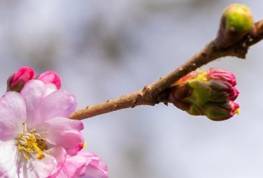 有哪些关于中秋节的文案呢?
