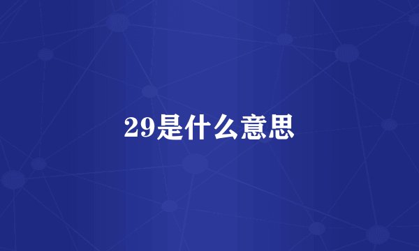 29是什么意思