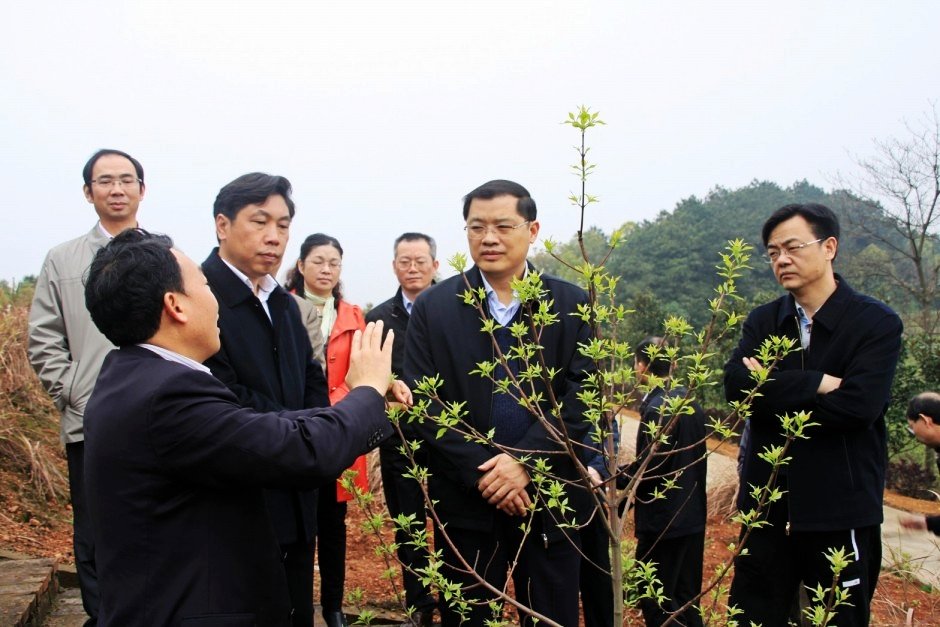 湖南省财政厅的主要领导