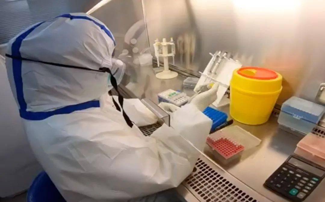 南京毛老太会判几年呢？为什么？