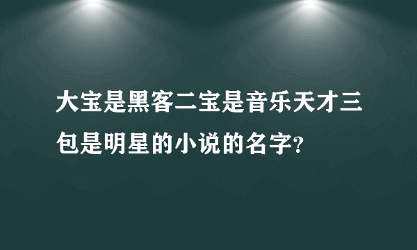 大宝是黑客二宝是音乐天才三包是明星的小说的名字？