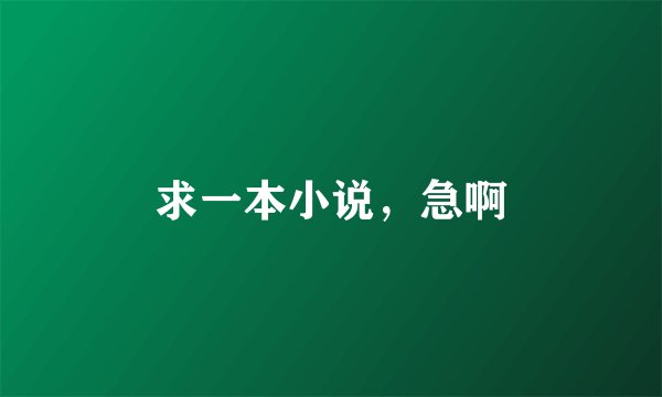 求一本小说，急啊