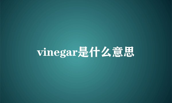 vinegar是什么意思