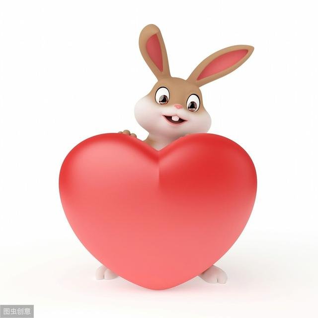 兔的成语有哪些成语