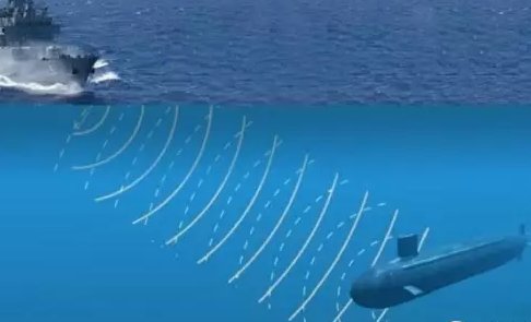 人类从哪些动物受到启发，发明了什么