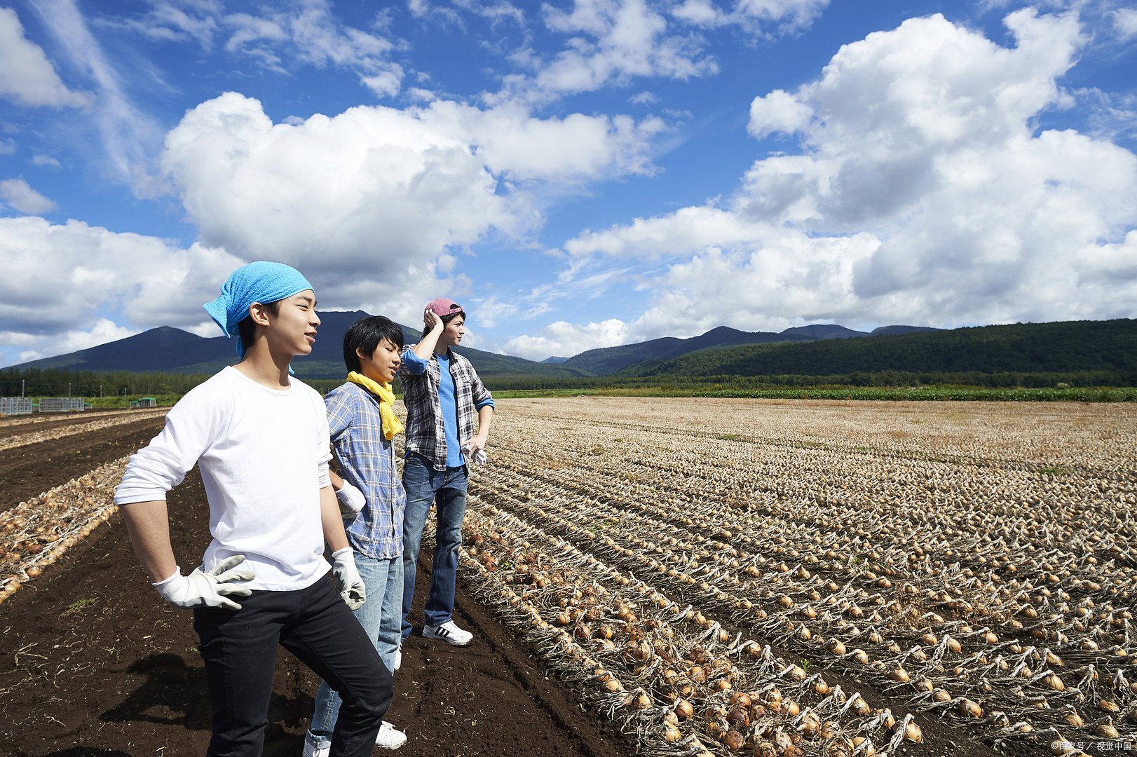 全世界的人类总共有56种性别，为什么会这样？