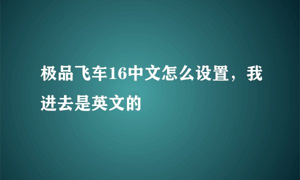 极品飞车16中文怎么设置，我进去是英文的