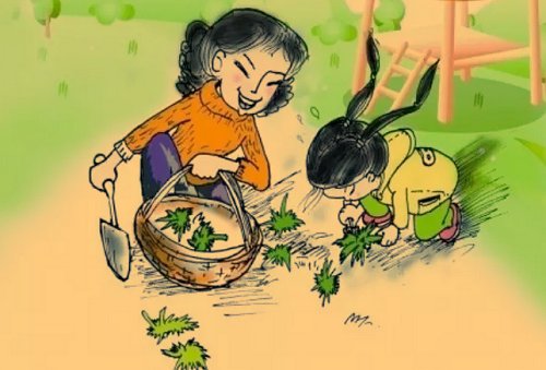 故乡的野菜 主要内容