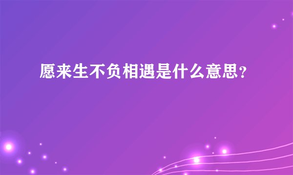 愿来生不负相遇是什么意思？