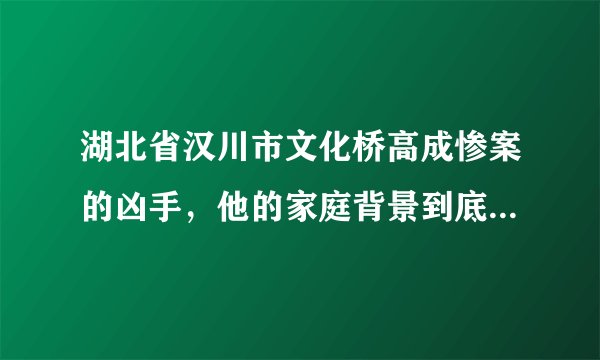 湖北省汉川市文化桥高成惨案的凶手，他的家庭背景到底是怎样的？