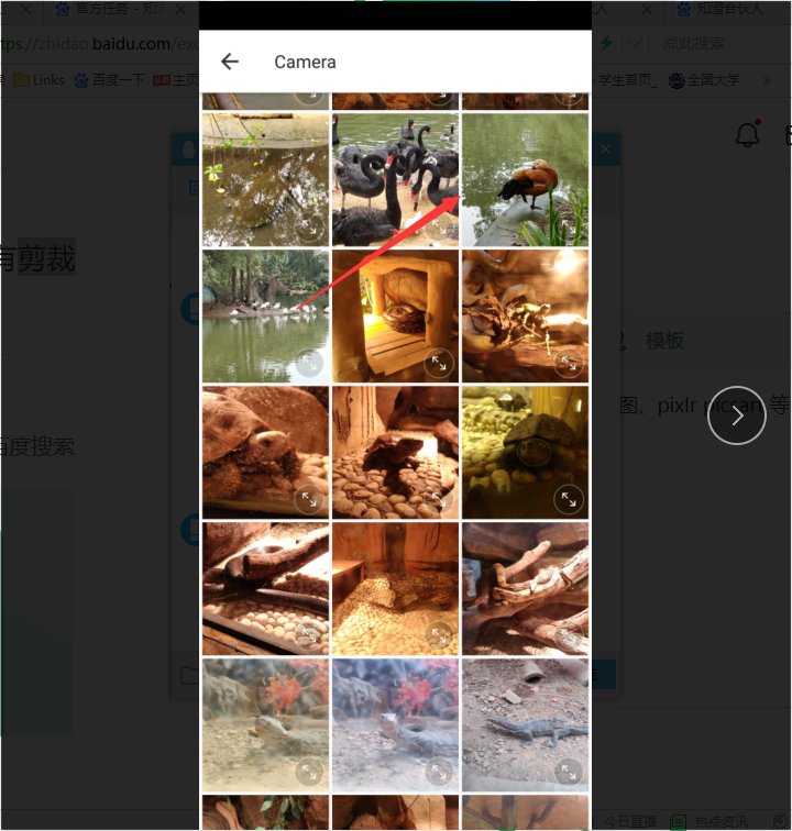 图片怎么加水印