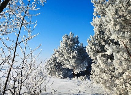 济南或将迎70年来最低温，今年天气为何格外严寒？