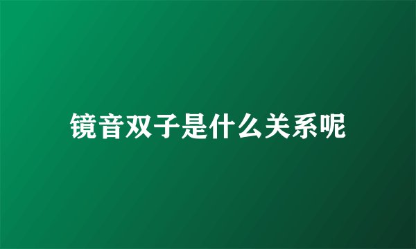 镜音双子是什么关系呢