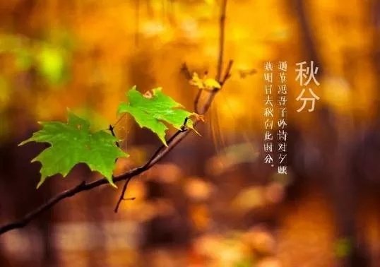 秋分有什么习俗和养生之道？