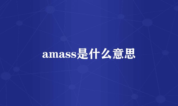 amass是什么意思
