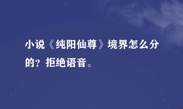 小说《纯阳仙尊》境界怎么分的？拒绝语音。