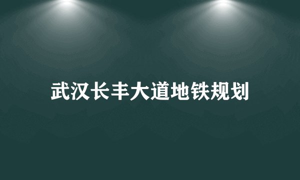 武汉长丰大道地铁规划