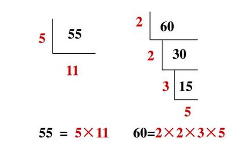 什么叫质因数 什么叫分解质因数