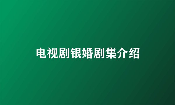 电视剧银婚剧集介绍
