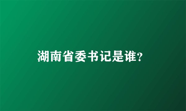 湖南省委书记是谁？