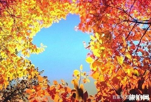 济南旅游攻略？