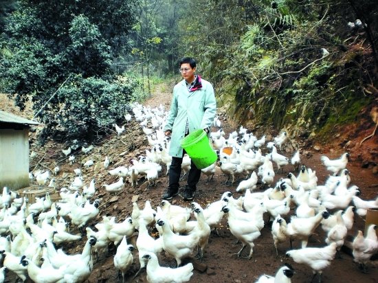 中山大学硕士在长沙开摩的遭网友非议，当事人对此事作何回应？