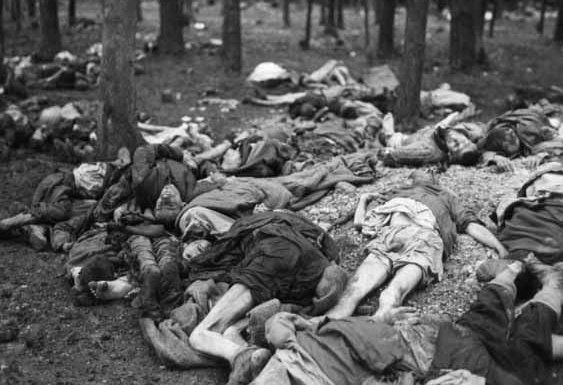 犹太人为什么被屠杀