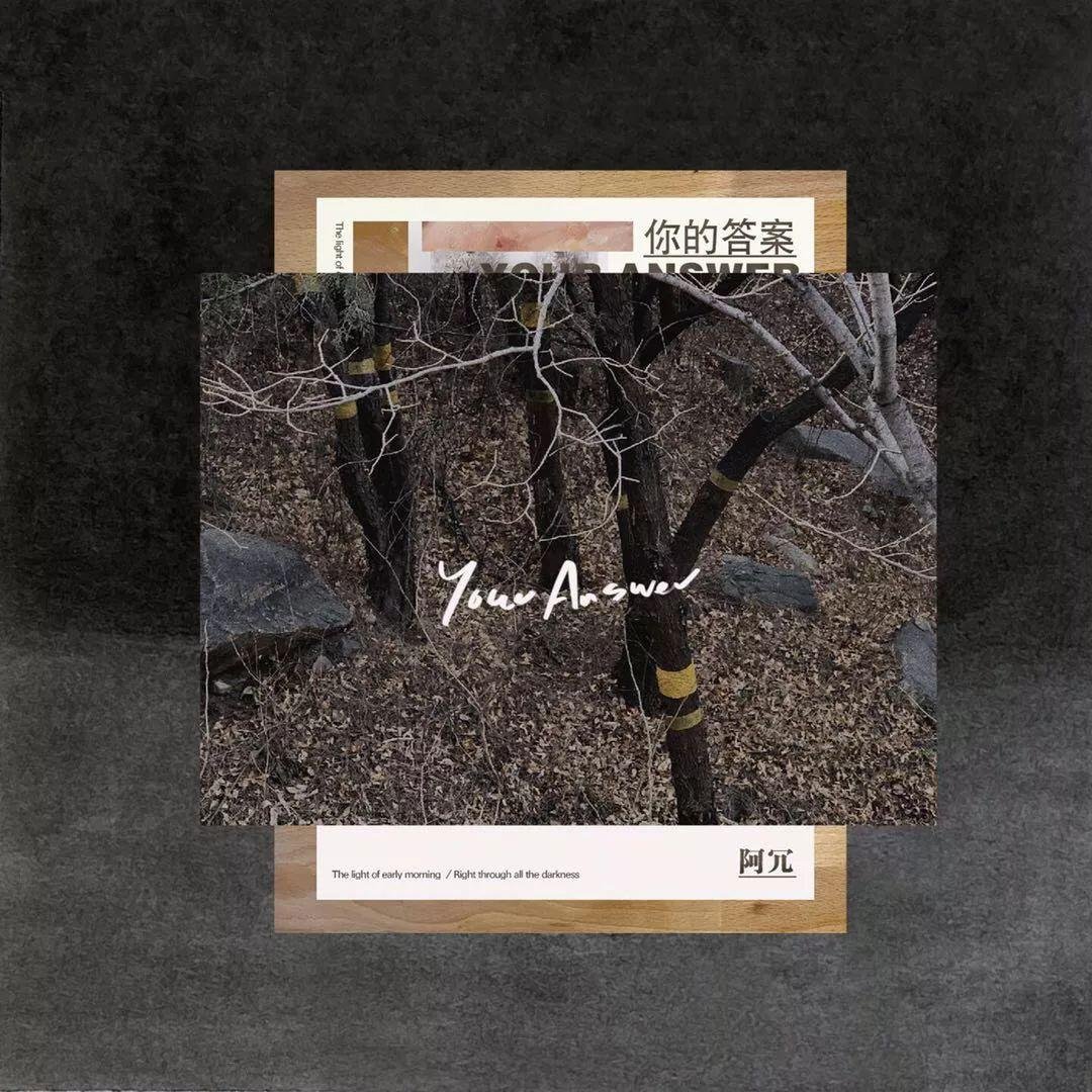 《你的答案》歌词表达的意思是什么？