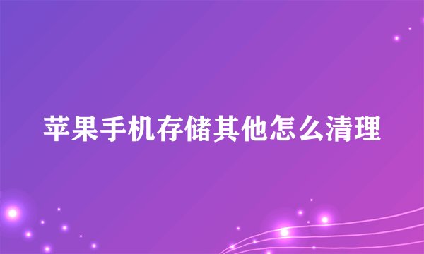 苹果手机存储其他怎么清理