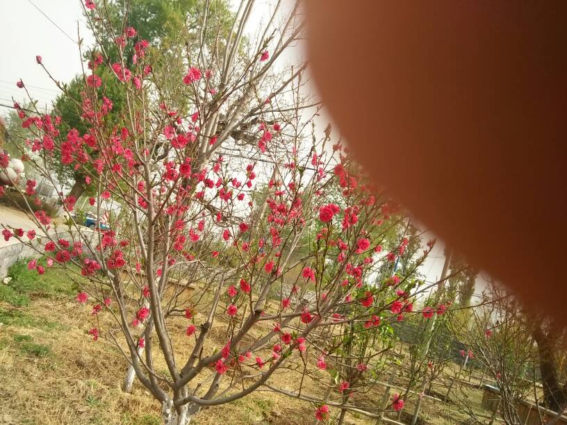 层次分析法 1:一个国家，一个民族不能没有灵魂 2:他高兴地跳起来 3:刷脸时代真的来了