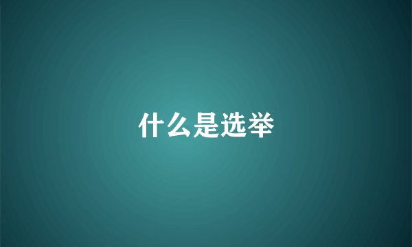什么是选举