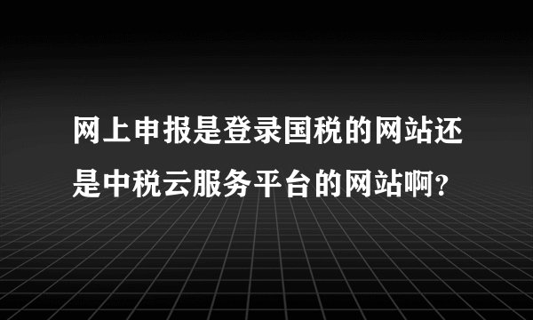网上申报是登录国税的网站还是中税云服务平台的网站啊？