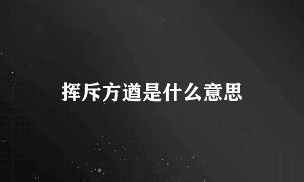 挥斥方遒是什么意思