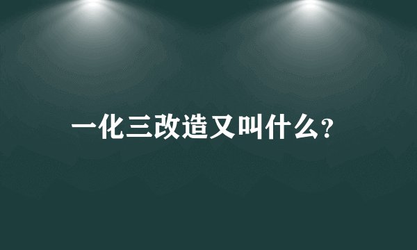 一化三改造又叫什么？