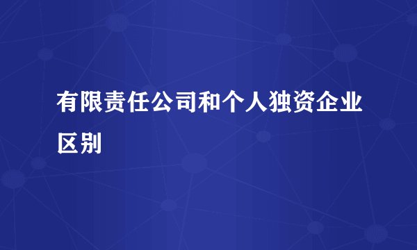 有限责任公司和个人独资企业区别