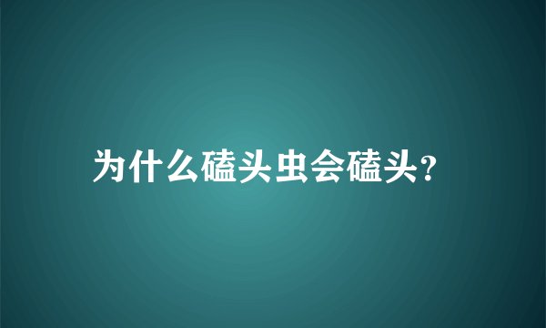 为什么磕头虫会磕头？